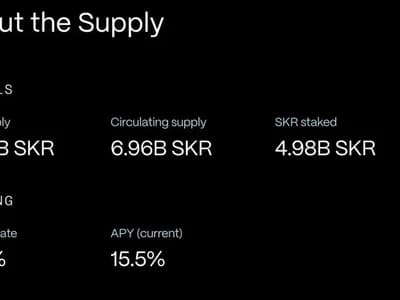 Why Is Seeker (SKR) Price Up Today? 