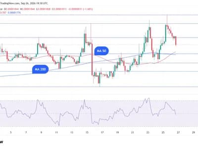 XRP Forms Golden Cross Against BTC, but Timing Says Not Now