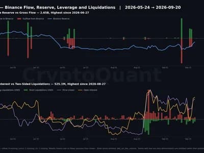 XRP Holders Rushed 663% More Tokens Onto Binance. Almost None of It Got Sold