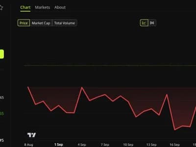 XRP Whales Bought $742 Million This Week. How Will Price React?