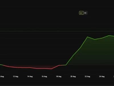Your Exchange Is Selling ‘Fake Bitcoins,' Says the Bitcoin Knots Developer