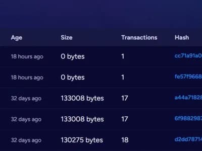 Zano rolls blockchain back a month after Gateway Address exploit