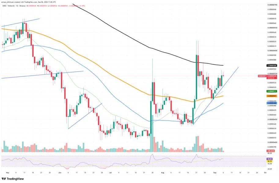 Shiba Inu (SHIB) Adds Exceptional 75 Billion to Exchanges in 24 Hours