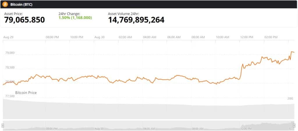 Bitcoin (BTC) Price Today: Whale Buying Strengthens Bullish Case as BTC Consolidates Near $79K