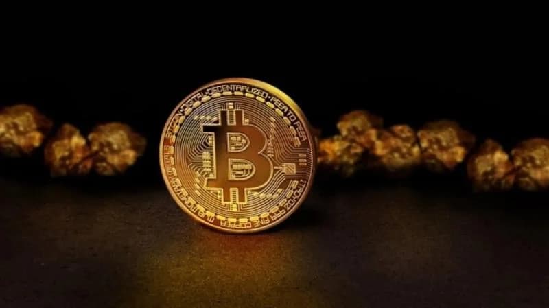 Bitcoin Investor Loses All 80 BTC After Moving Funds to Ledger Wallet Bought From Reseller