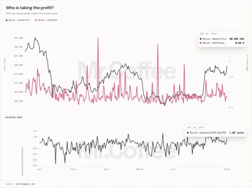 Bitcoin Price Rebound Shows Short-Term Holders Taking Profit