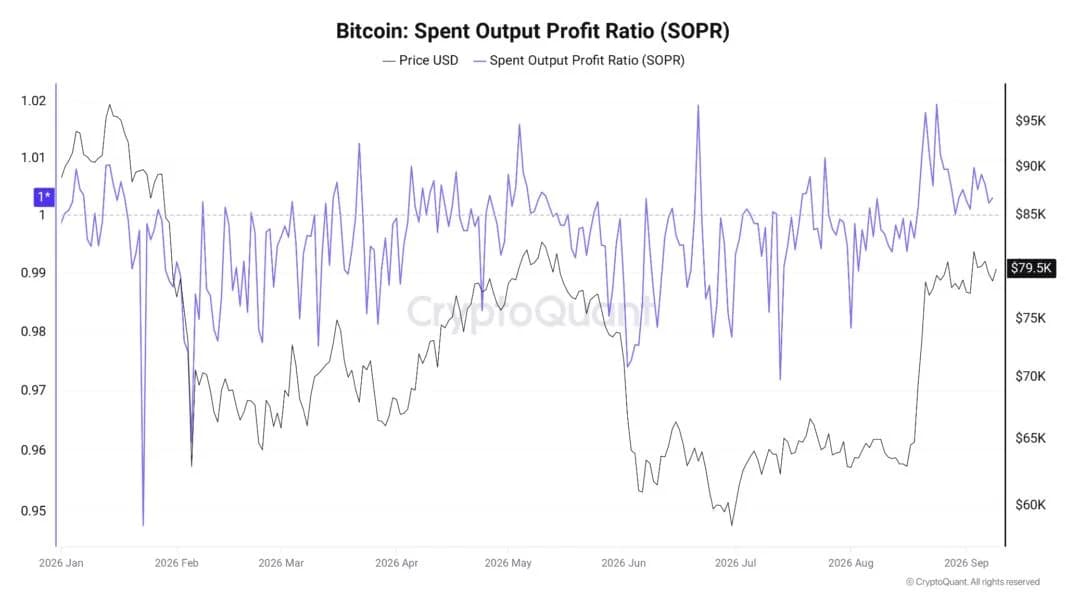 Bitcoin SOPR metric sees longest profit run of 2026 as new analysis challenges bear market