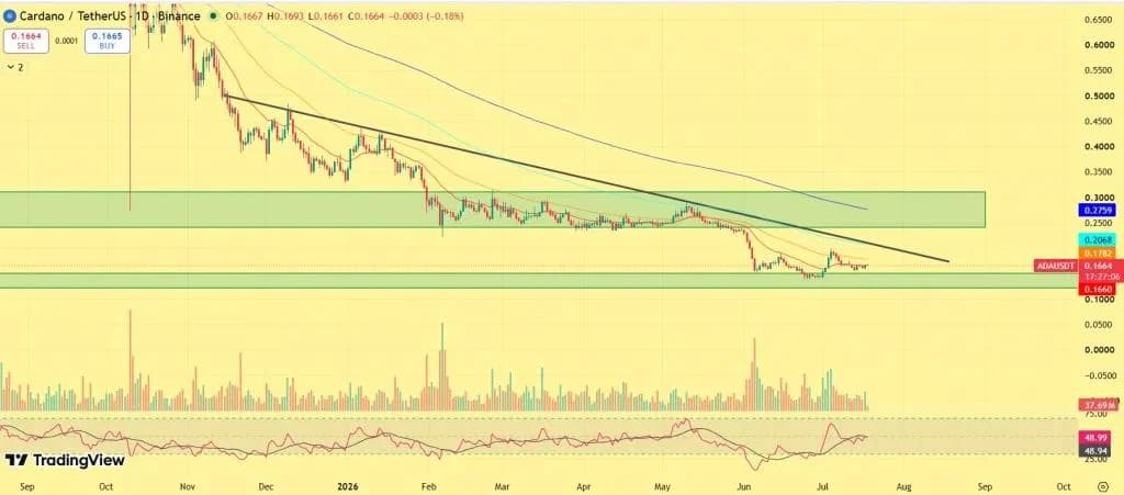 Cardano Price Rises 5%—Are Whales Preparing for a Bigger Rally?
