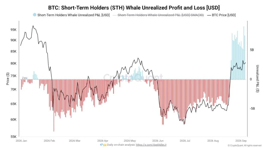 New Bitcoin whales spark sell-side risk as unrealized gains hit $9B