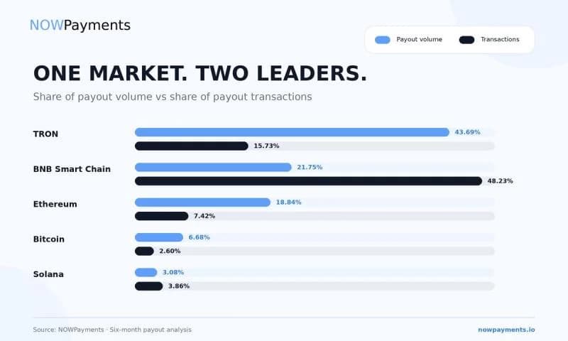 NOWPayments Releases Cross-Chain Payout Data Revealing Key Performance Benchmarks Across TRON, BNB Chain, and Solana
