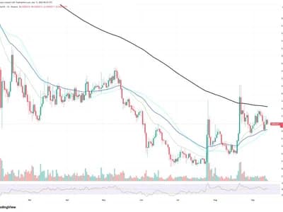 42% Shiba Inu (SHIB) On-Chain Increase Is Not Yet Bullish: Explaining Why