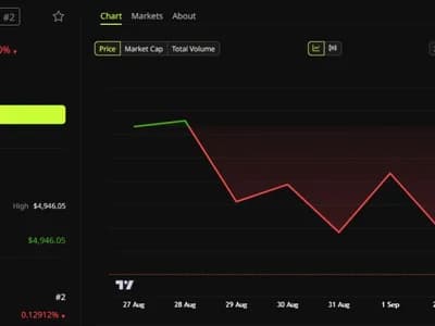 Arthur Hayes Reaffirms Bitcoin Long, Sets $10,000 Ether Target for 2026
