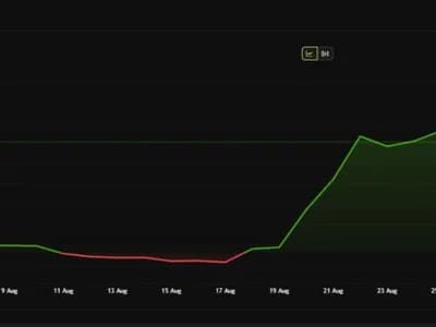 B HODL Stock Surges 67% in a Month on MicroStrategy Bitcoin Playbook
