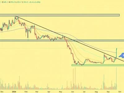 Bitcoin Cash Price Surges 30% as CME Futures Spark Breakout — Can BCH Hold $350?