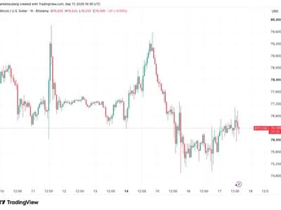 Bitcoin coils near $76.5K as US stocks rebound from Fed rate hike