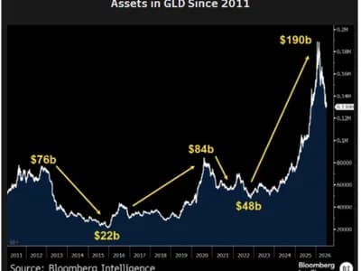 Bitcoin ETFs could mirror gold’s history of ‘spectacular gains’ and ‘painful drawdowns,’ analyst says