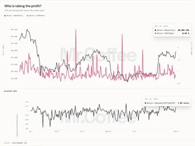 Bitcoin Price Rebound Shows Short-Term Holders Taking Profit