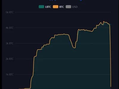 Bitcoin Worth $320 Million Taken From BTC Layer 2 Solution by 'White-Hat Hackers' — 'Contact Us on Chain'