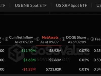 Bitwise Dogecoin ETF Shuts Down With $722,000 Left: Will Rival Funds Follow?