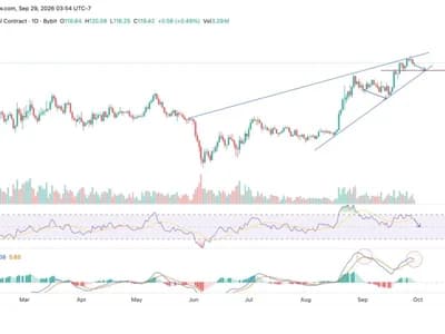 Bullish Momentum Cools as Solana (SOL) Price Approaches a Key Resistance—What’s Next?