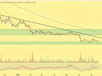 Cardano Price Rises 5%โAre Whales Preparing for a Bigger Rally?