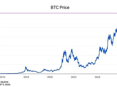Coinbase CEO Brian Armstrong says bitcoin has bottomed for current cycle, expects uptrend over next two years