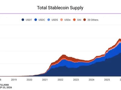 Crypto economy fell just 1.6% in 12 months despite $2.1 trillion market cap rout, Chainalysis says