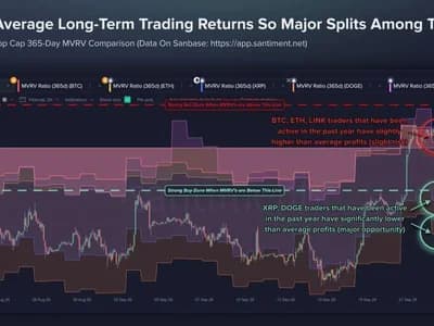 Crypto News Today: XRP, Dogecoin Signal Long-Term MVRV Discounts as Bitcoin Holds $82.5K Neckline