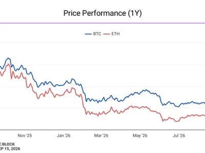 ‘Nothing truly structural’: Analysts downplay Clarity Act defeat as bitcoin, major crypto stocks dip