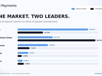NOWPayments Releases Cross-Chain Payout Data Revealing Key Performance Benchmarks Across TRON, BNB Chain, and Solana