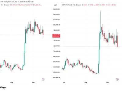 Ripple Shows How XRP Survived CLARITY Act Setback, MicroStrategy Says Bitcoin Never Needed It