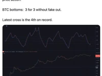 This Bitcoin Signal Has Flashed Just 4 Times In History, And The Prior 3 Coincided With Bear-Market Bottoms — Here’s What To Know