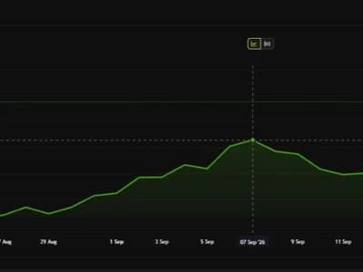 Uniswap Founder Reveals Sam-Bankman Fried Paid 7 Figures for Uniswap.com and Lost It