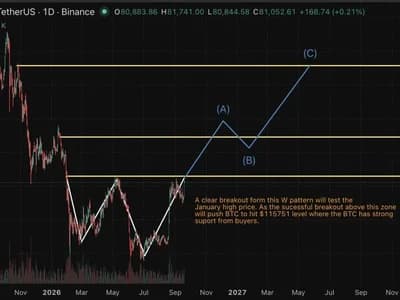 Why Is Bitcoin Price Going Up? Is a $115K Rally Next?