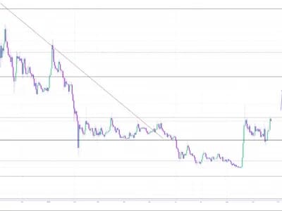 XRP Price Today: XRP Hits $1.60 as Heavy Whale Accumulation Points to a $2 Rally and Beyond