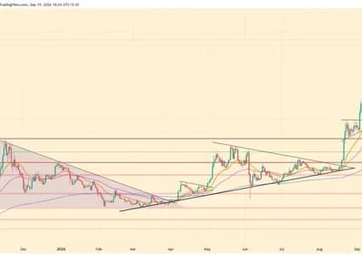 ZEC Price Nears $1,600 as Whale Risk Builds