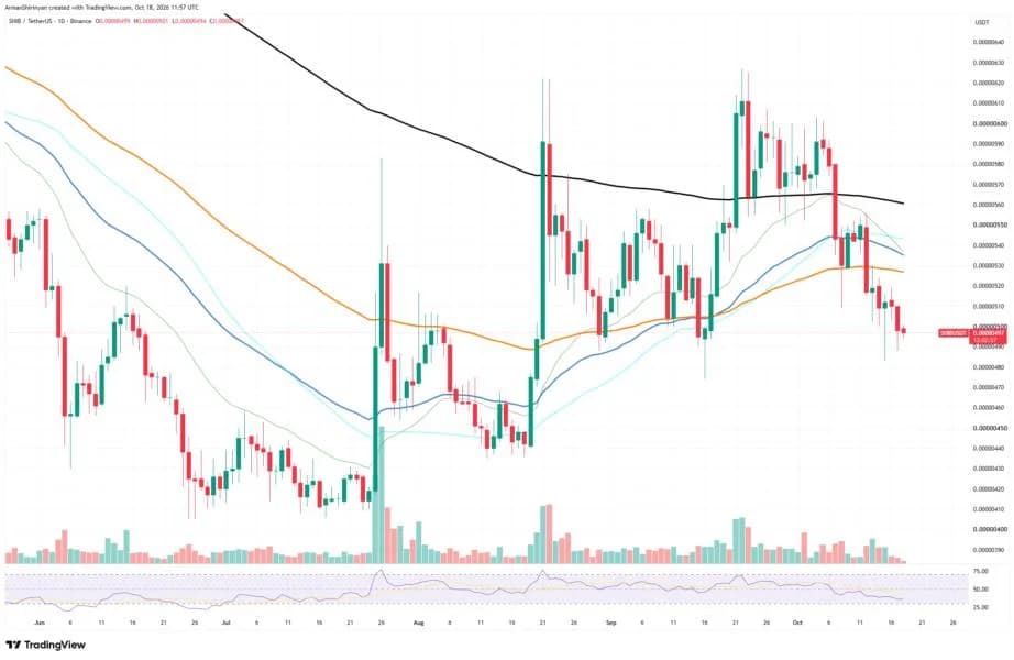 Shiba Inu (SHIB) Spot Flows Skyrocket 215% in 8 Hours: 3 Key Price Signals to Watch