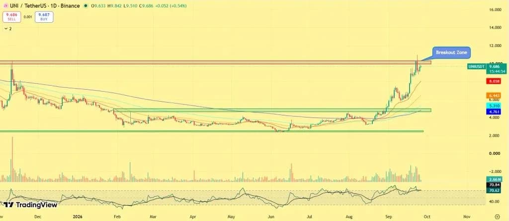 These 5 Altcoins Are Seeing the Biggest Whale Accumulation Right Now