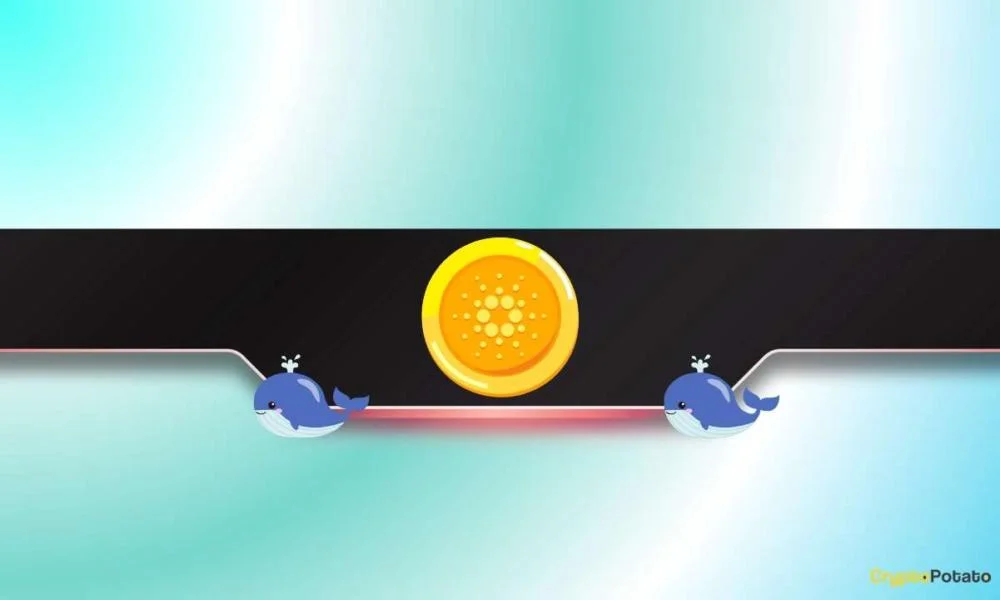 100,000,000 ADA: Price Crash Incoming Following Extreme Offloading?