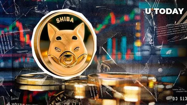 $1.46 Billion SHIB in 24 Hours: Here’s What Is Happening