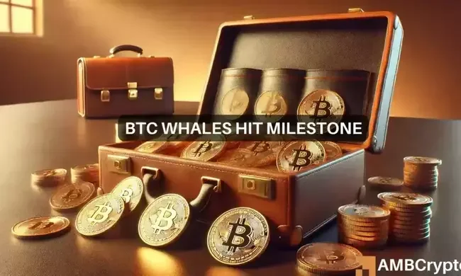 2-year high for Bitcoin’s whales – What does that mean for you?