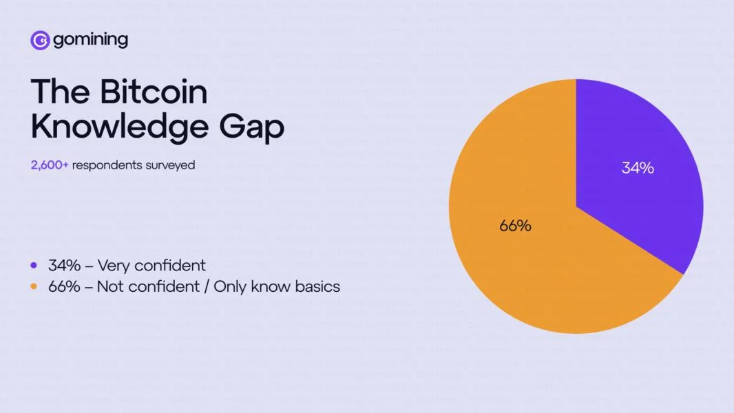 70% of Bitcoin Users Don’t Understand How It Works, GoMining Survey Finds