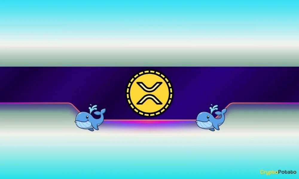 900,000,000 XRP Bought in a Month: What Do Ripple Whales Know?