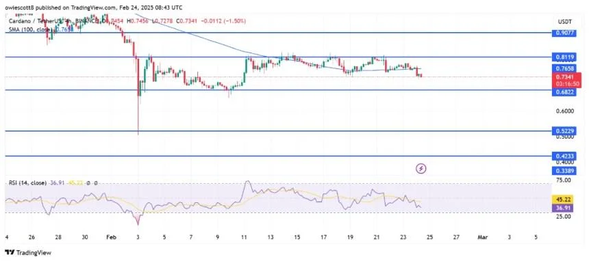 ADA Charts Turn Bearish – Technical Indicators Signal More Pain Ahead