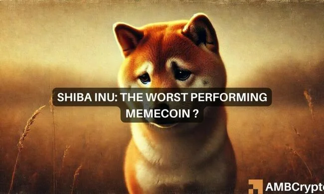 Analyzing Shiba Inu’s downward spiral in 2024 – Time to sell?