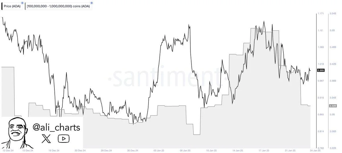 Behind Cardano 15% Correction: Here’s How Much ADA Whales Sold