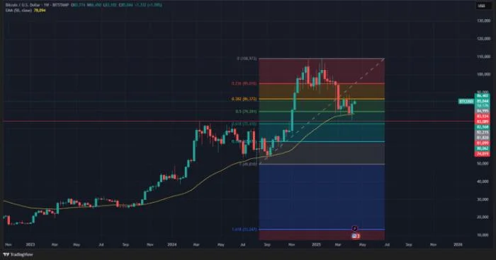 Best Altcoins to Buy as Long-Term $BTC Holders Continue to Remain in Profit Despite Recent Turbulence