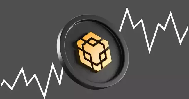 Binance Coin (BNB) Poised for Rally as Changpeng Zhao Nears Prison Release