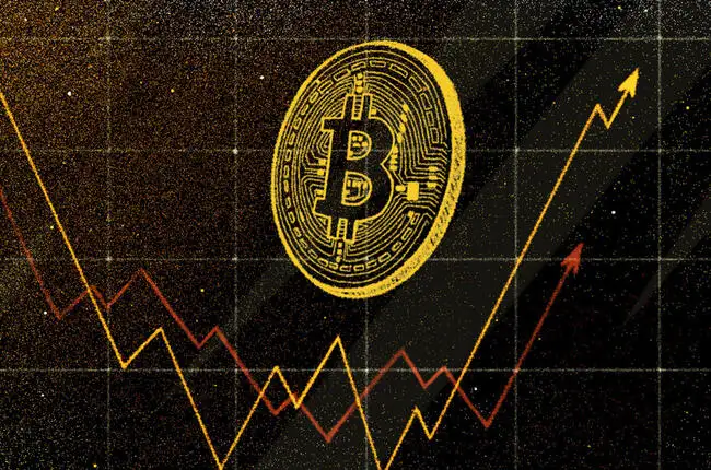 Bitcoin Addresses Holding Over 0.1 BTC Near All-Time High Amid Price Dip