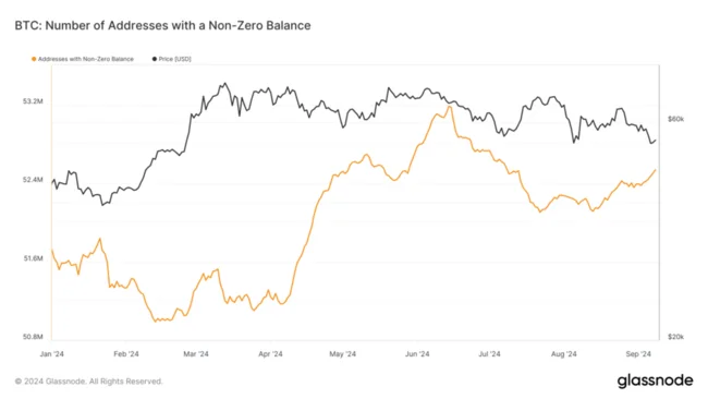 Bitcoin addresses with non-zero balances climb over 50 million in 2024